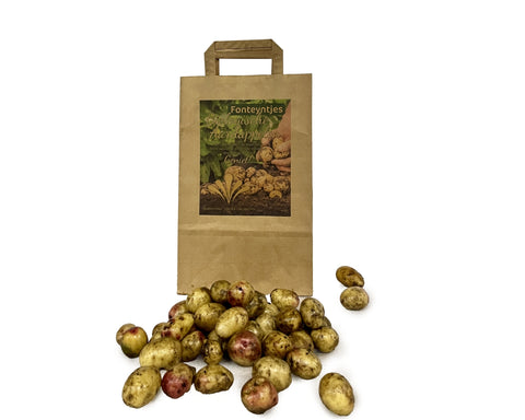 Verse biologische Carolus krieltjes in papieren zak met verspreide aardappelen op witte achtergrond