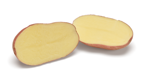Alouette biologische aardappel doorgesneden, toont gele binnenkant met rode schil, verse kwaliteit pootaardappel