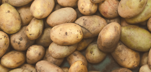 Connect biologische aardappel