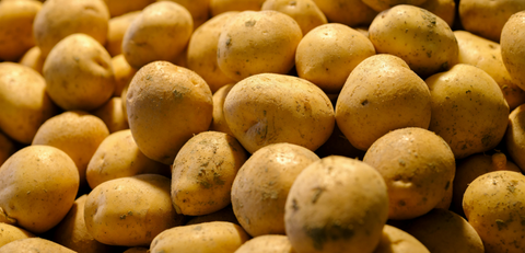 Carolus biologische aardappel