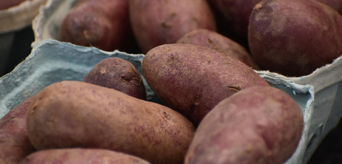 Alouette biologische aardappel