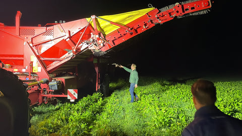 Aardappelen Kopen: Hoe Versheid en Kwaliteit te Waarborgen