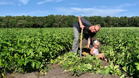 Biologische aardappelen kopen bij de boer