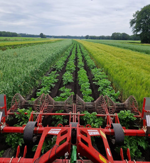 Fonteyntjes Biologische Aardappelen – Vers van het Land.