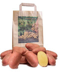 Biologische Alouette aardappelen met rode schil en geel vruchtvlees, getoond met papieren draagtas
