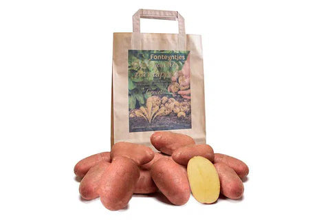 Biologische Alouette aardappelen met rode schil en geel vruchtvlees, getoond met papieren draagtas